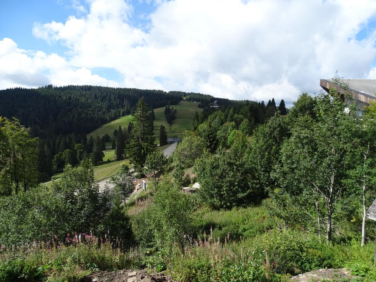 'S Jaegermatt Bed & Breakfast Feldberg  Exterior photo